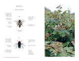 The Wild Bee Handbook The Amazing Lives of Our Wild Species and How to Help Them Thrive By: Sarah Wyndham Lewis