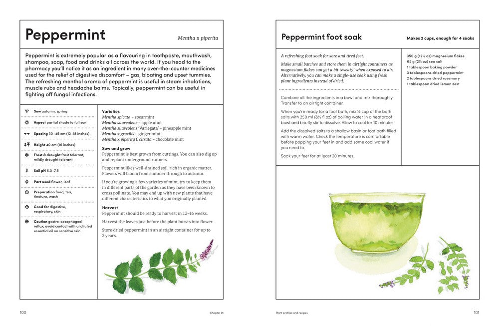 The Medicinal Garden Treat, feed and soothe straight from your garden By: Caroline Parker, Lucy Mora (Illustrator)