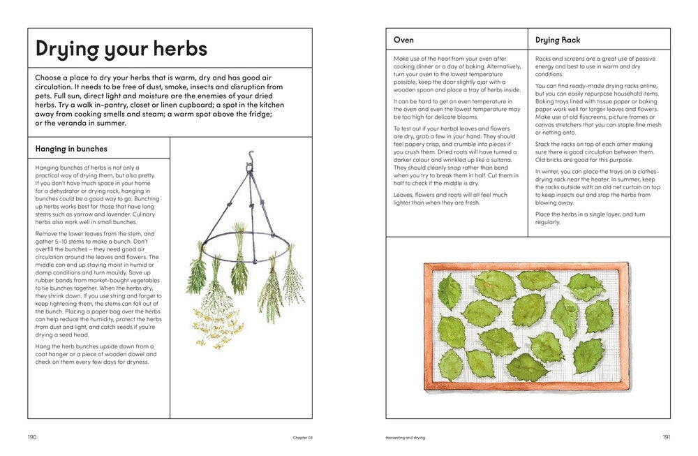 The Medicinal Garden Treat, feed and soothe straight from your garden By: Caroline Parker, Lucy Mora (Illustrator)