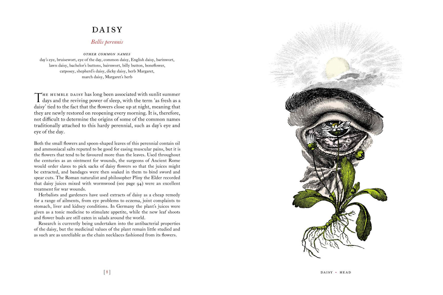 The Physick Garden: A Journey Through Ancient Cures