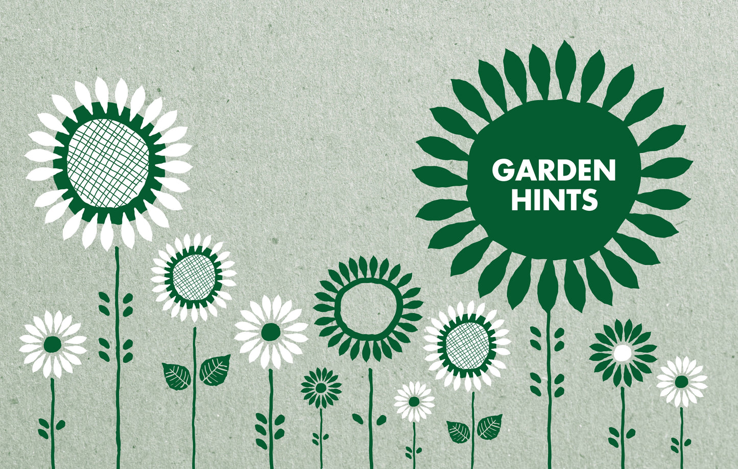Thrifty Household: More than 1000 budget-friendly hints and tips for a clean, waste-free, eco-friendly home Author : Country Women's Association Victoria