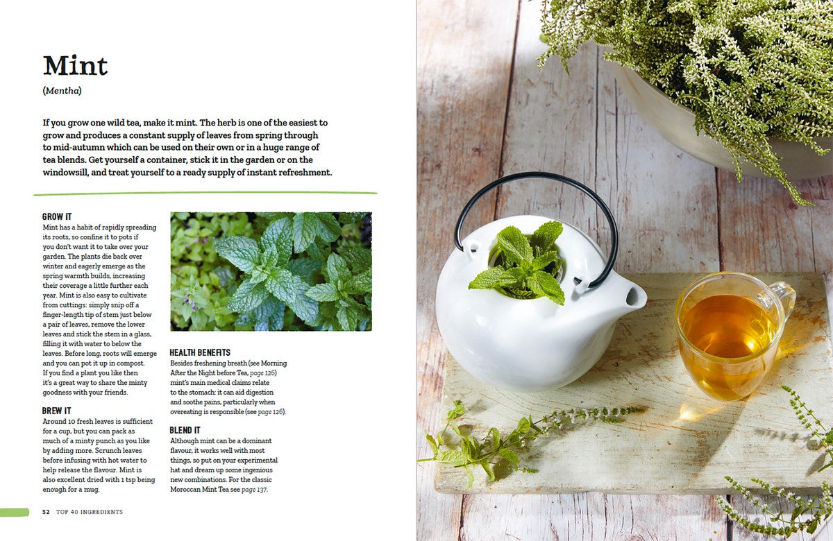 Wild tea: Brew your own infusions from home grown and foraged ingredients