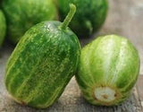 Cucumber Richmond green