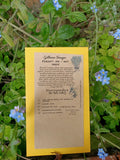 Forget me not seeds