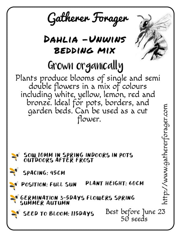 Dahlia unwins bedding mix