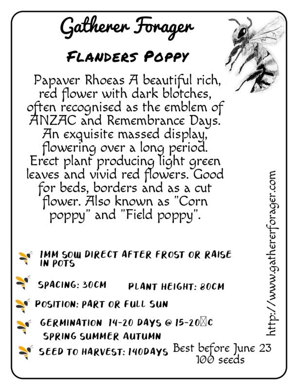 Poppy Flanders red