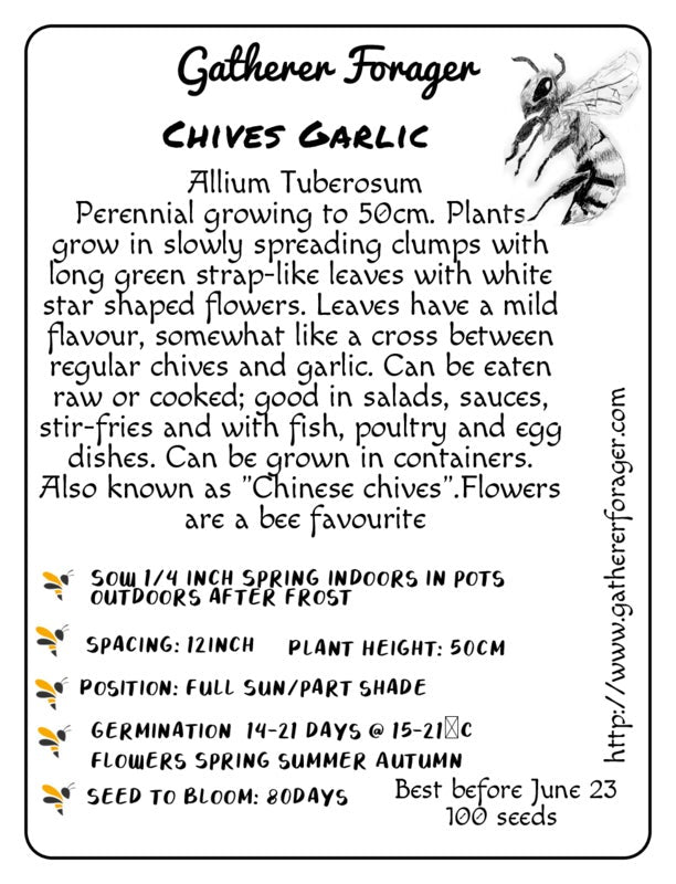 Garlic chive seeds