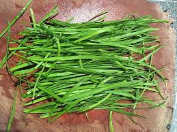 Garlic Chives