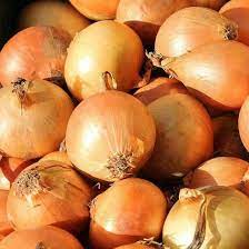 Onion Pukekohoe long keeper