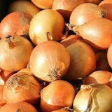 Onion Pukekohoe long keeper