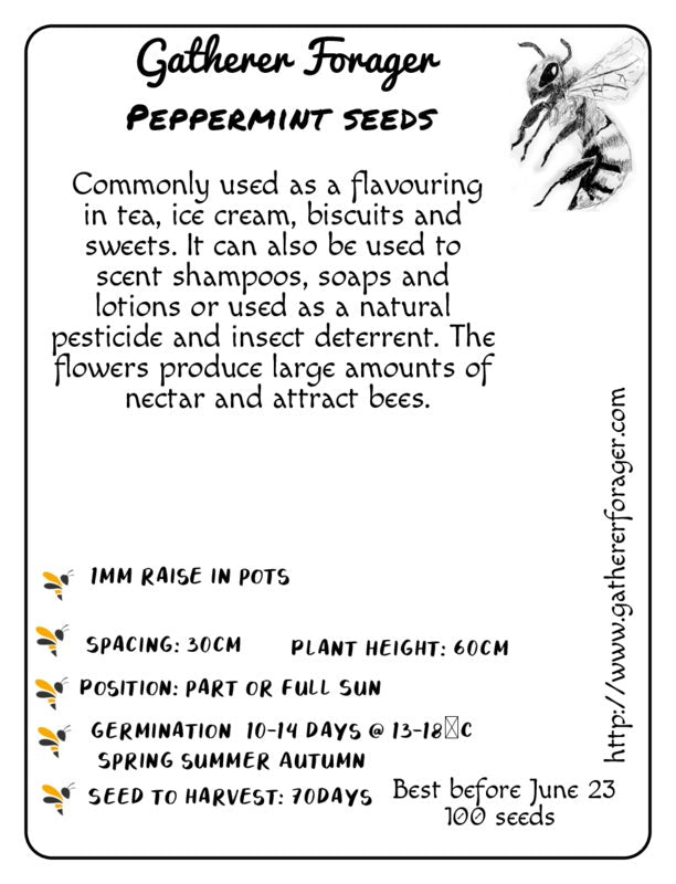 Peppermint seeds
