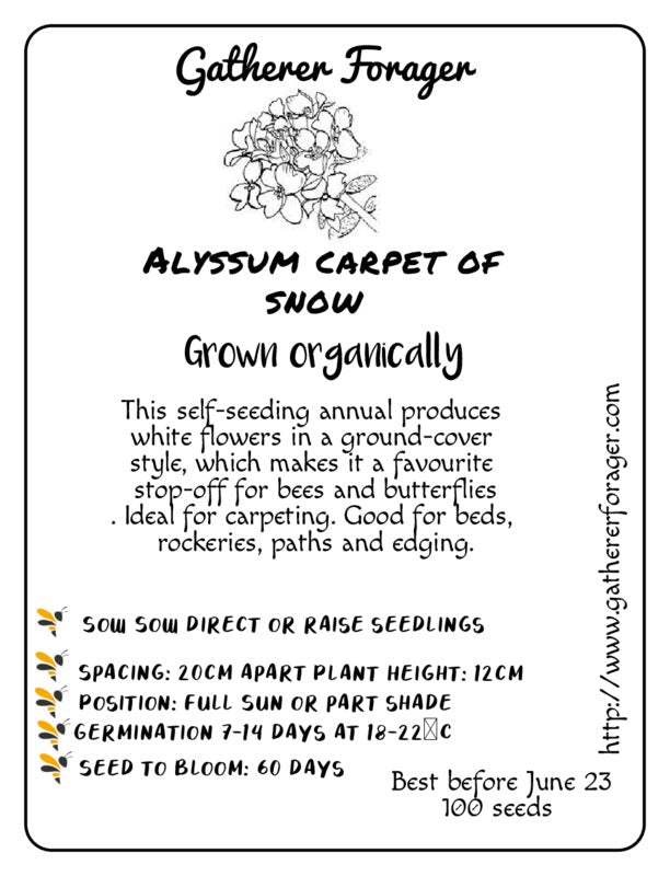 Alyssum- Carpet of Snow