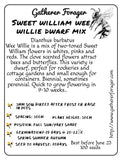 Wee William flower Australia