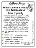 Wallflower bedder seeds Australia