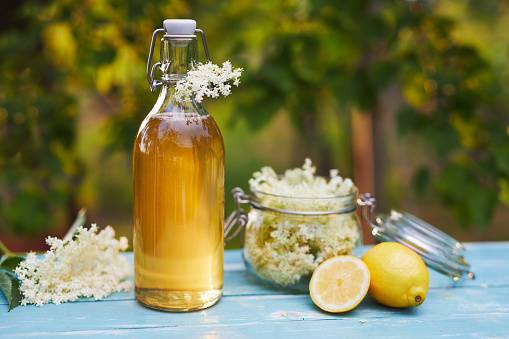 Elderflower syrup recipe