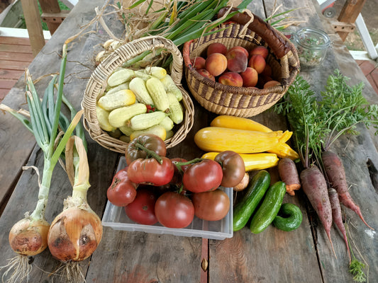 What's a typical day like for a Homesteading Home Educating Family ?