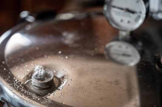 Pressure Canning - What is it and is it worth the investment?
