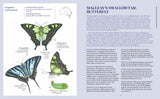 100 Australian Butterflies, Beetles & Bugs – Field Guide to Native Insects