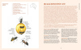 100 Australian Butterflies, Beetles & Bugs – Field Guide to Native Insects