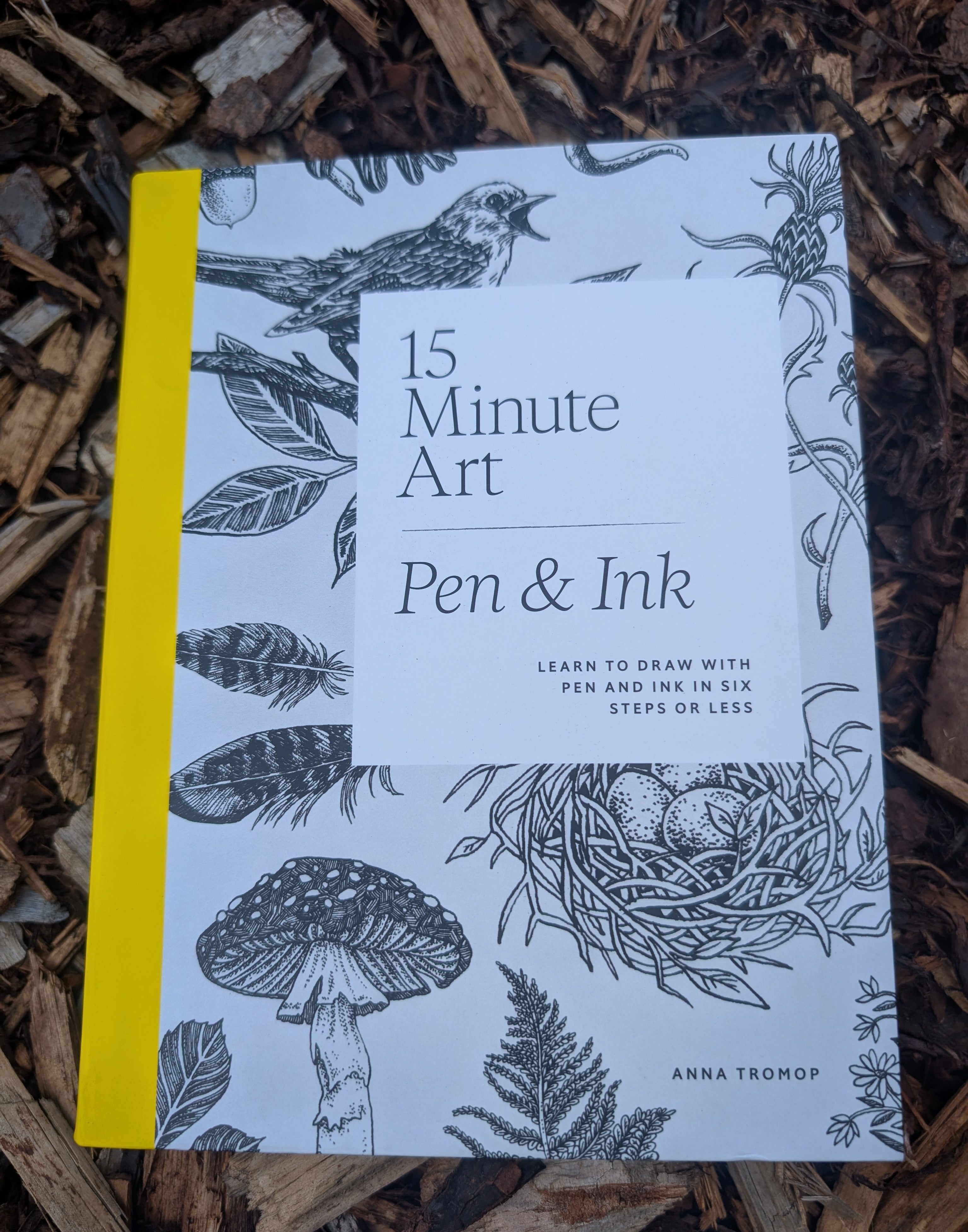 15 minute art book by Anne tromop
