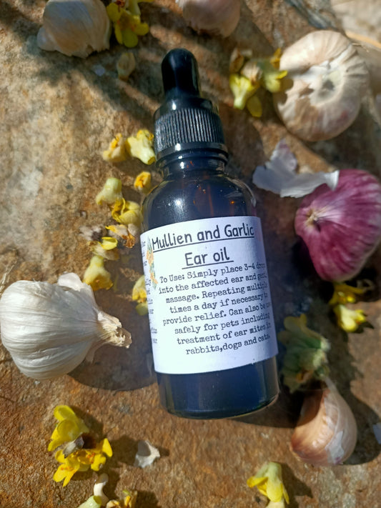 Mullien and garlic ear oil