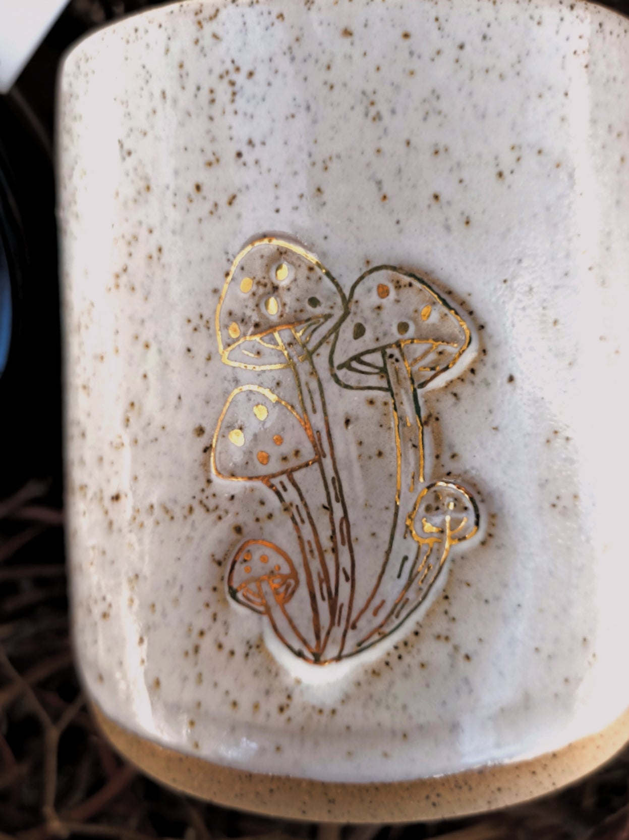 Mushroom Lovers Gift pack