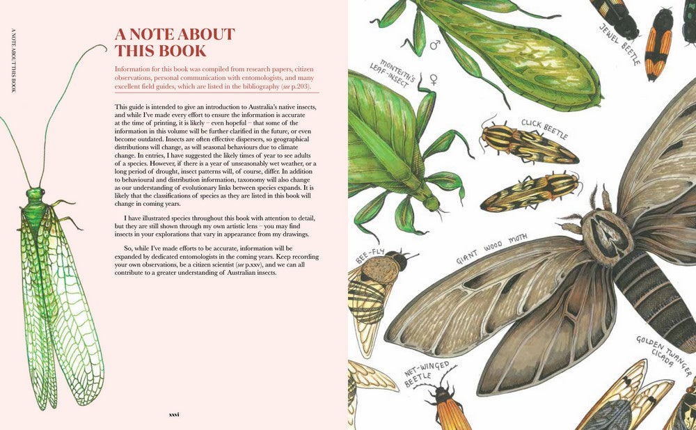 100 Australian Butterflies, Beetles & Bugs – Field Guide to Native Insects