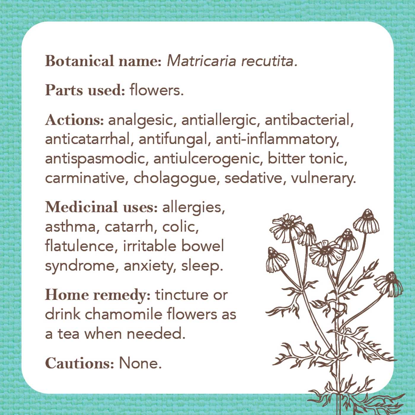 Apothecary Flashcards A Pocket Reference Explaining Herbs and Their Medicinal Uses (40 Full-Color Cards) By: Nicola McIntosh Secondary image