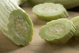 Armenian Cucumber