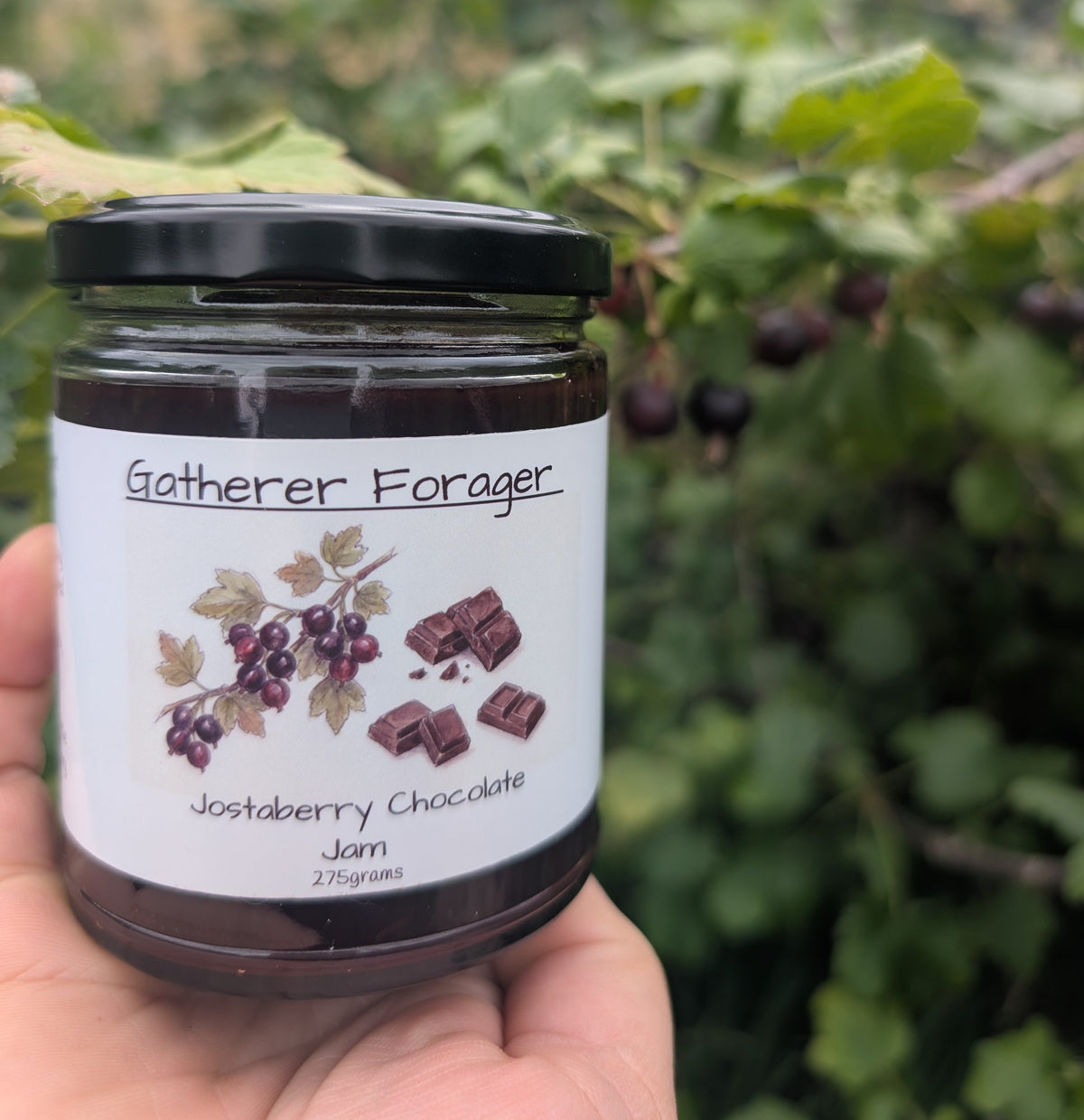 Jostaberry chocolate jam