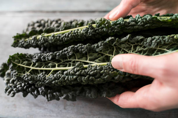 Kale Black Toscana