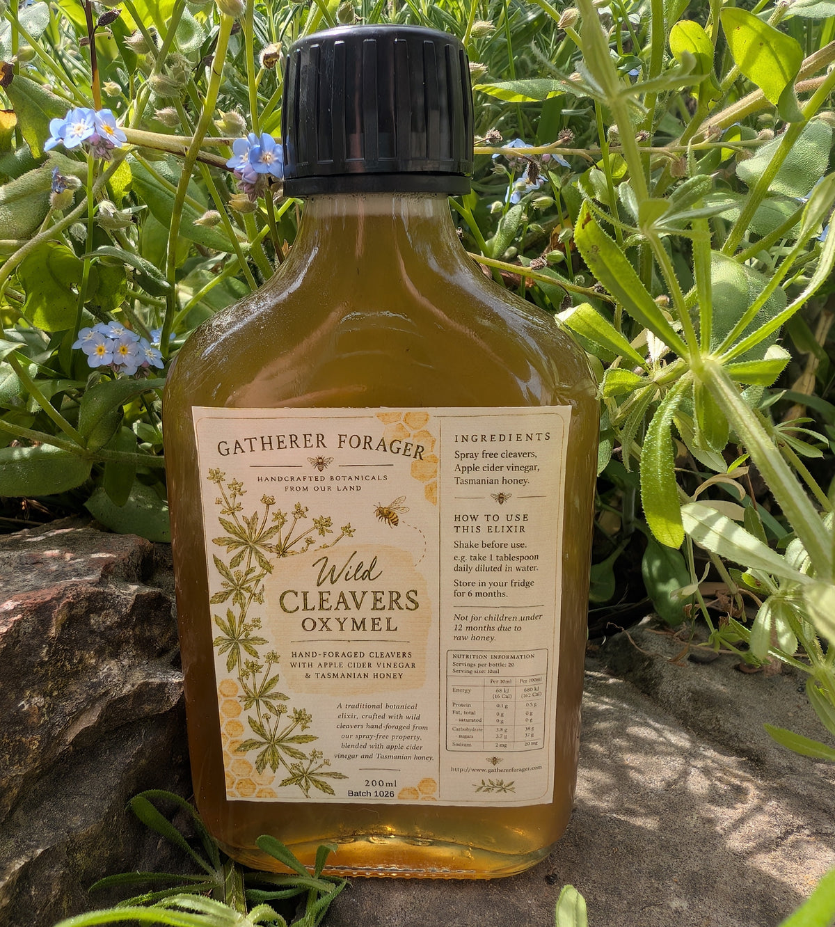 Cleavers oxymel natural lymphatic support  Main image