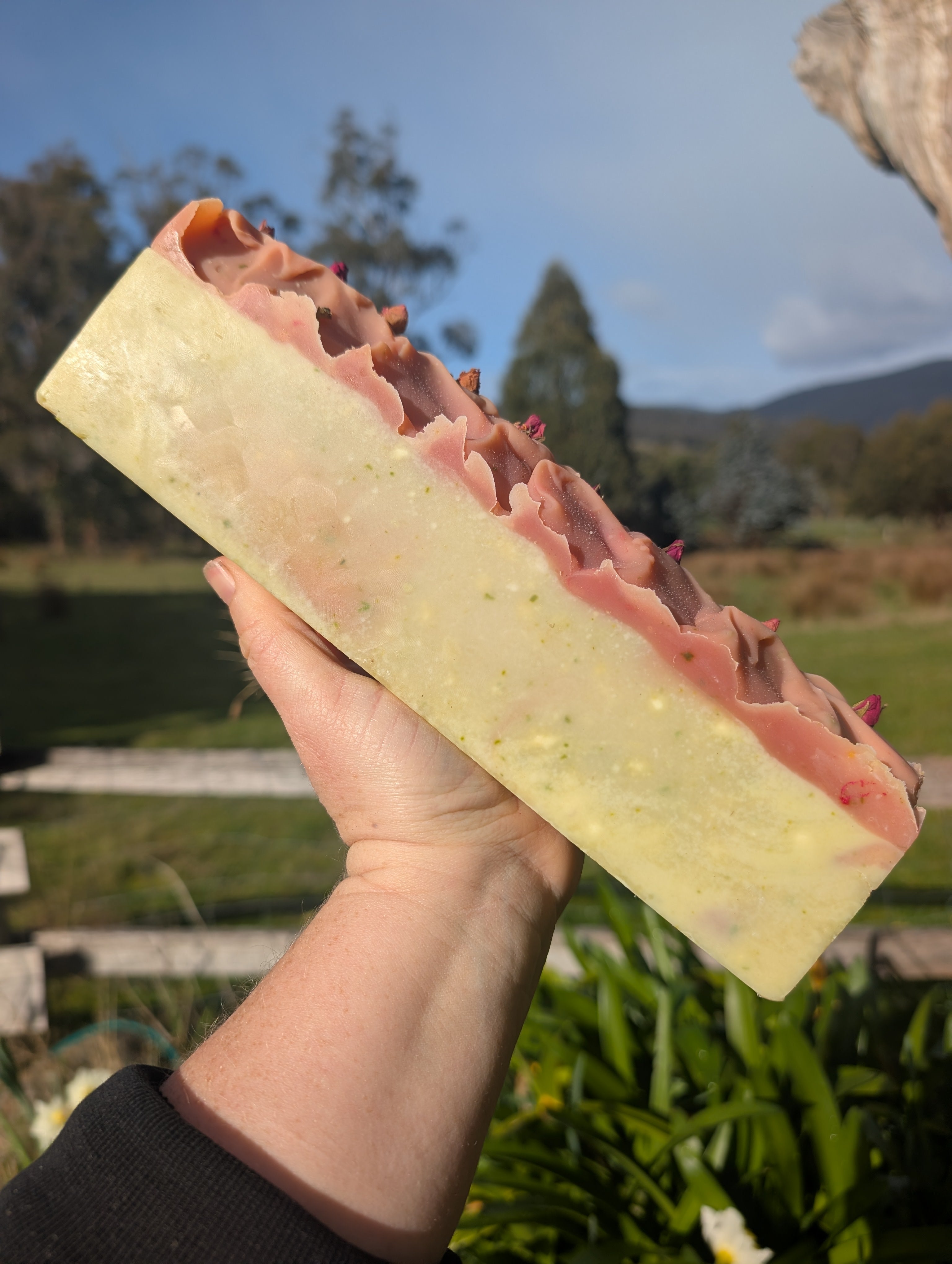 Cleavers & Rose Botanical Shampoo & Body Bar Secondary image