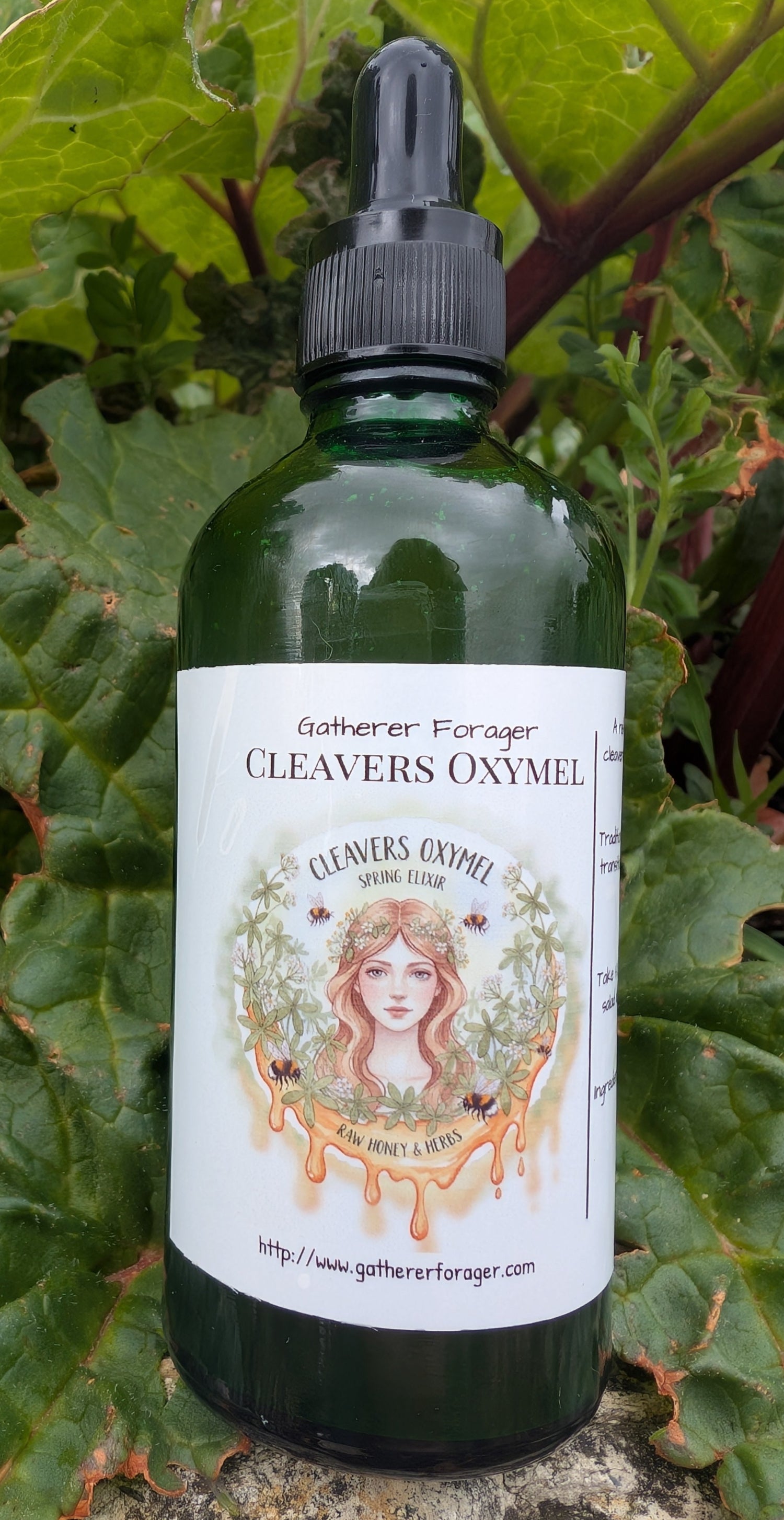Cleavers Oxymel 
