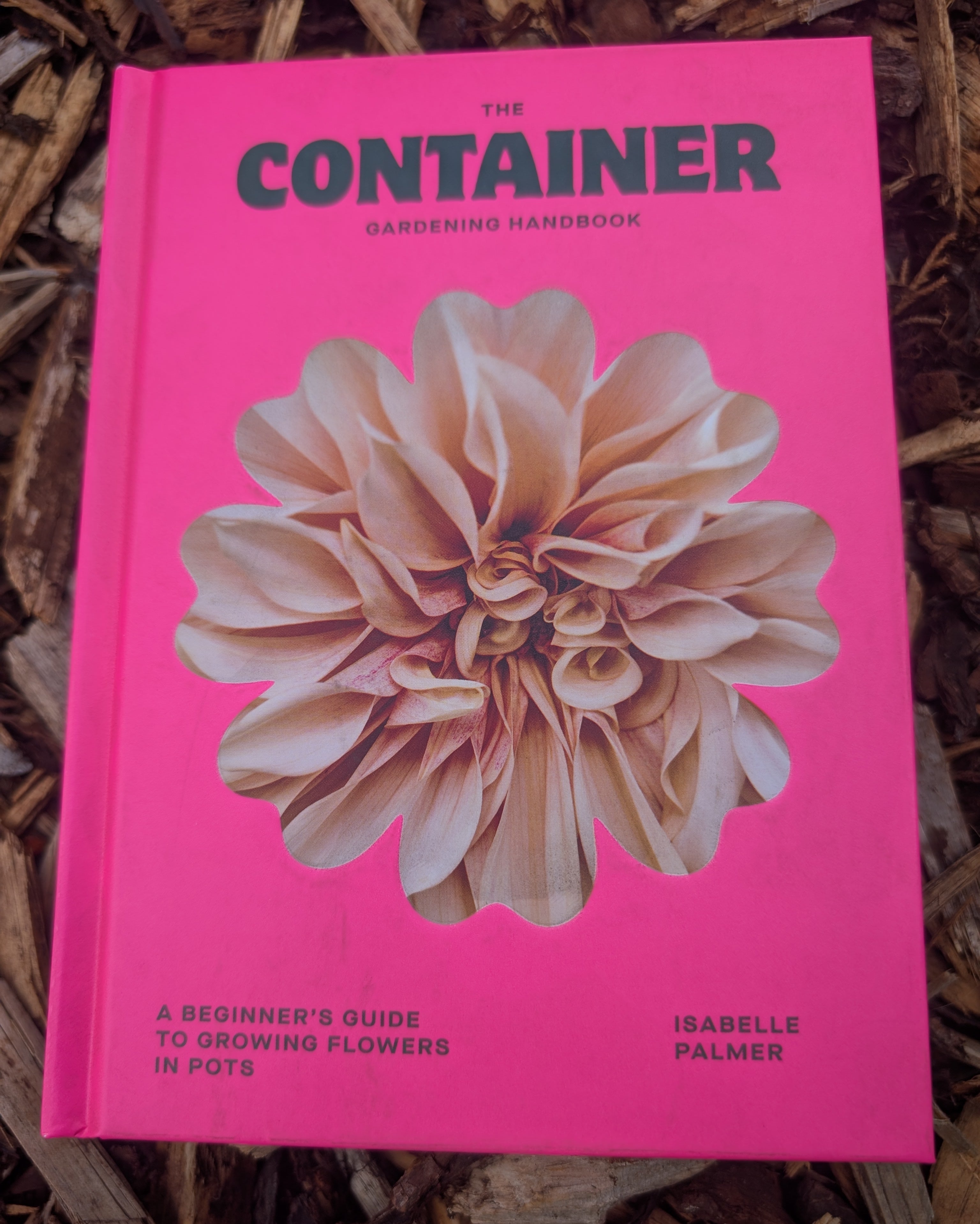 Container a beginners guide to growing flowers in pots 