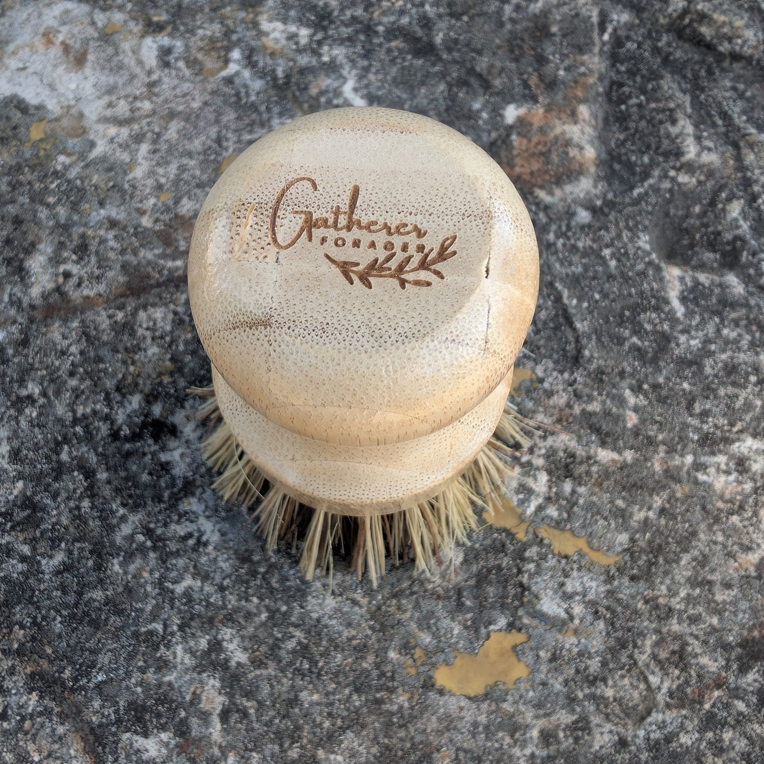 gatherer forager eco friendly dish brush
