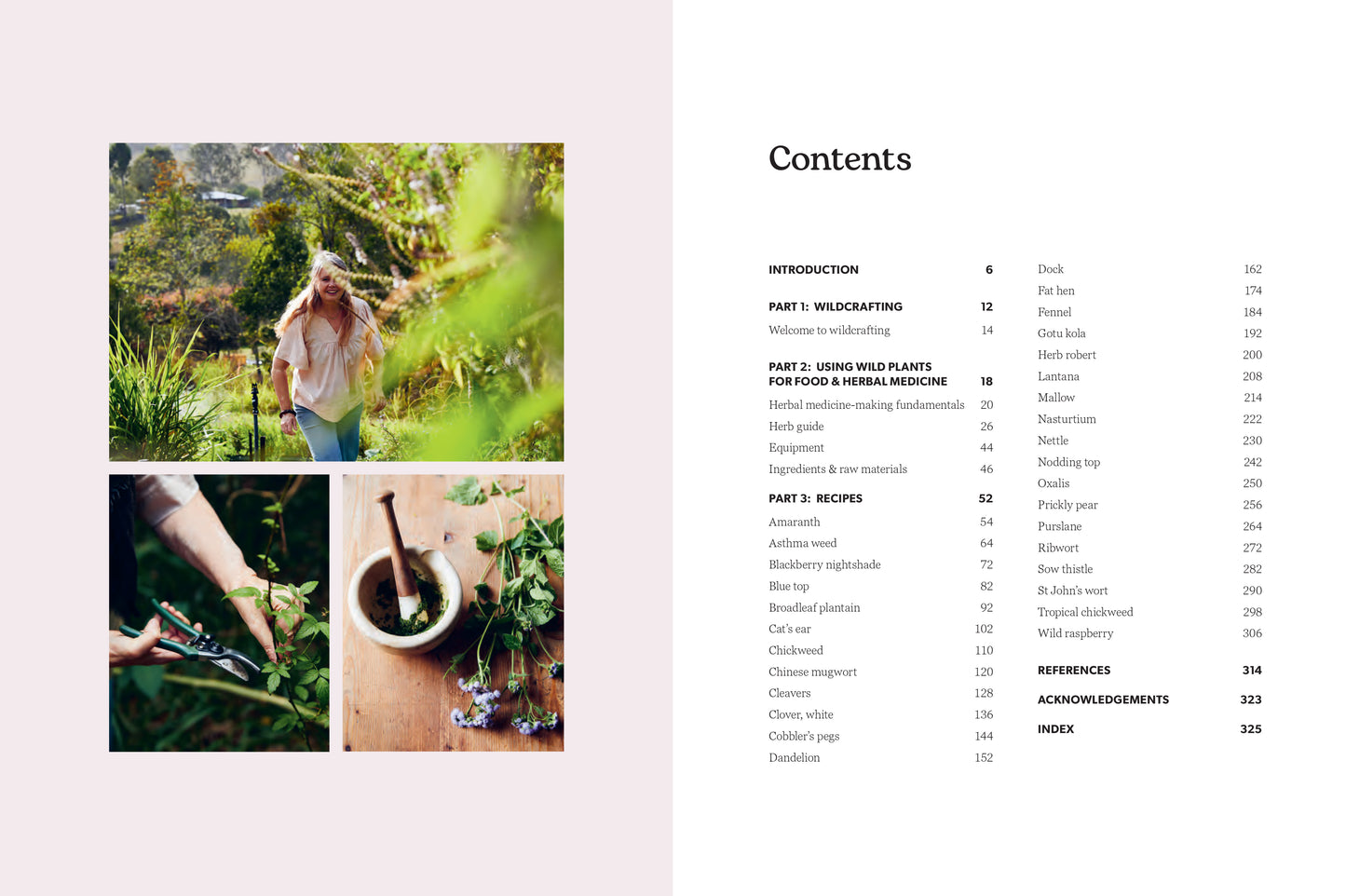 From the Wild by Heidi Merika - Foraging, Wild Food Recipes & Herbal Medicine Book