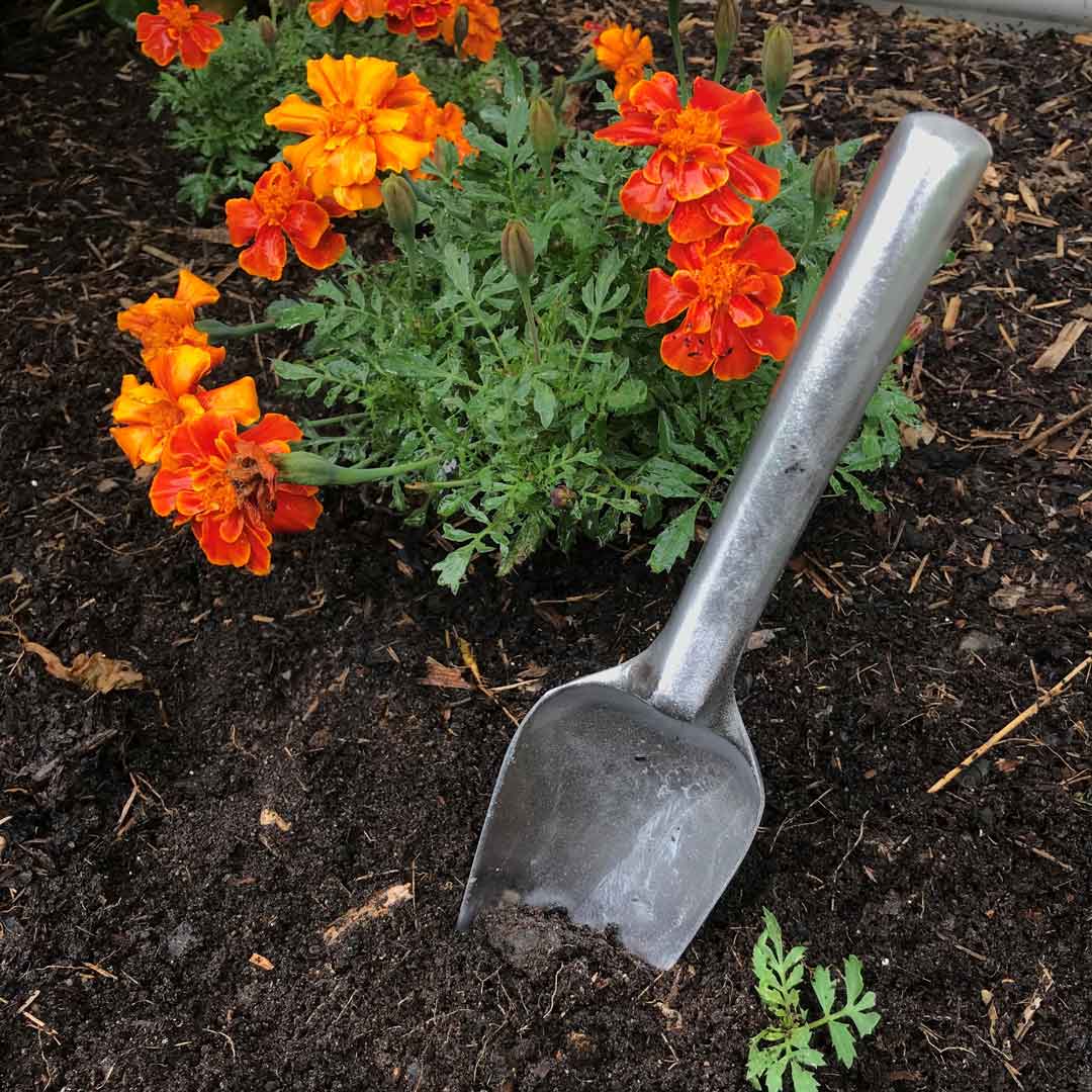 Australian made Aluminum Narrow garden trowel Main image