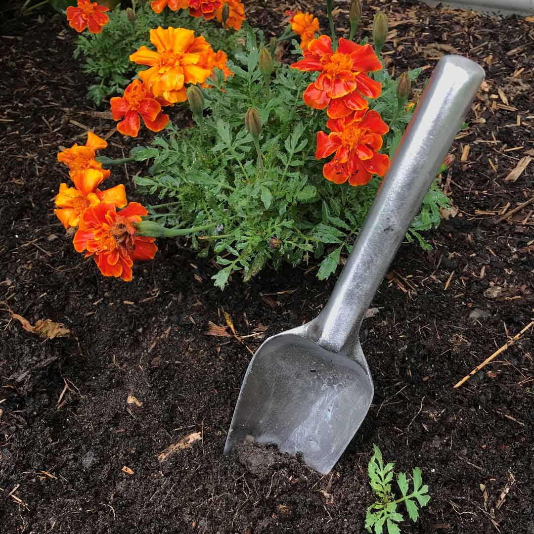 Australian made Aluminium Narrow garden trowel