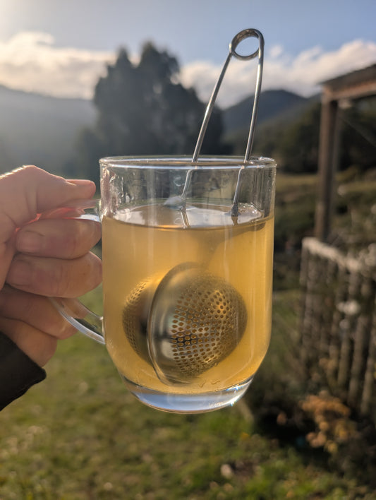 Herbal tea infuser 