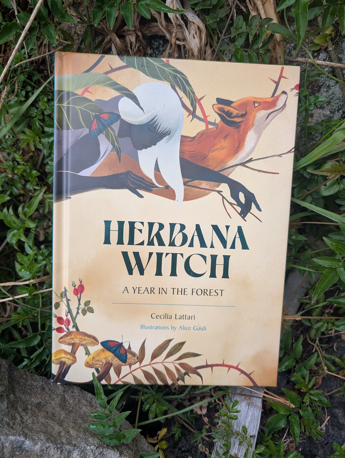Green witch book Australia Main image