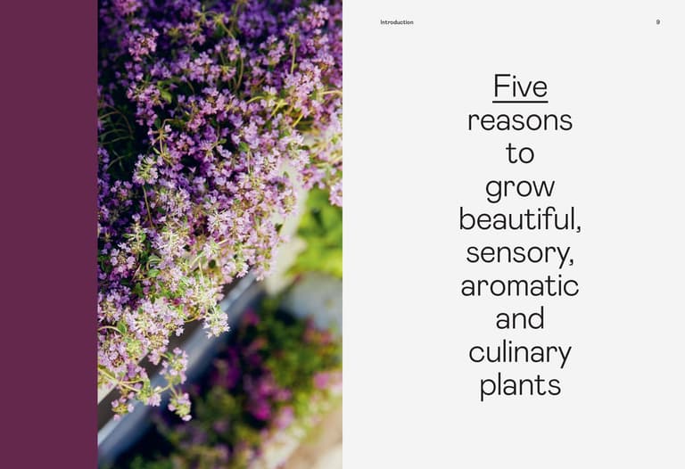 The Herb Gardening Handbook | Grow, Harvest & Use Herbs
