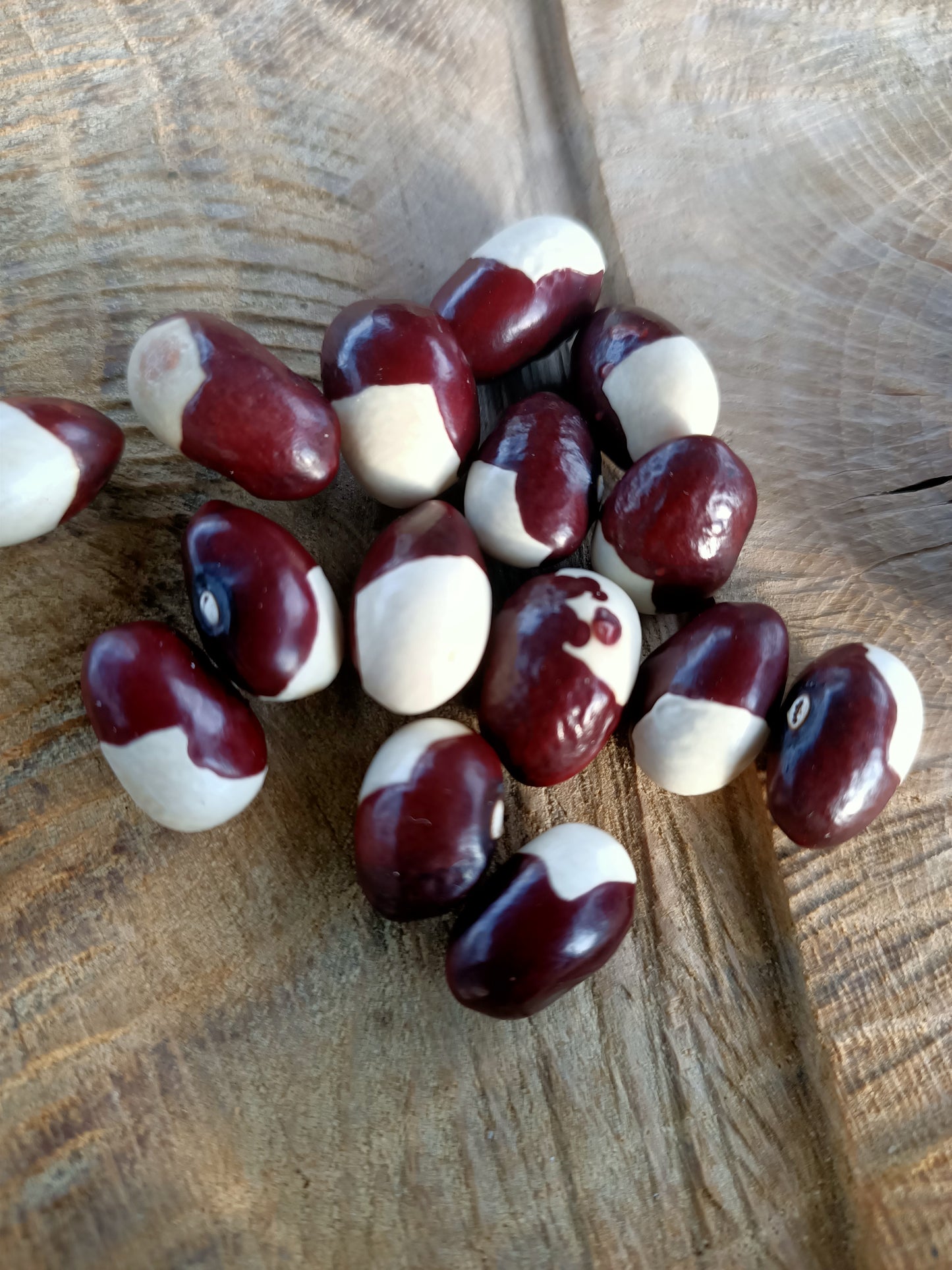 Kilham goose beans