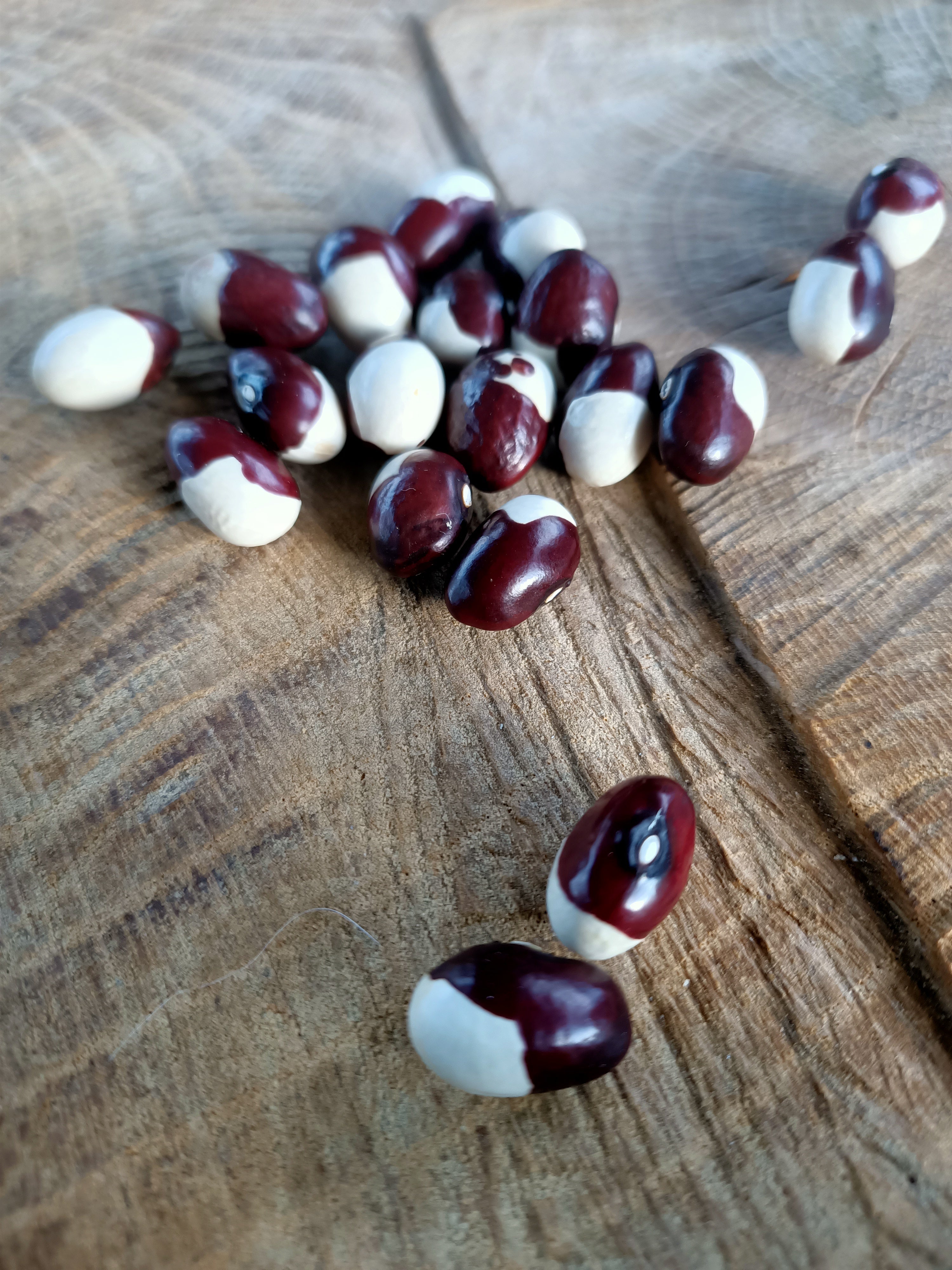 Kilham goose beans Secondary image
