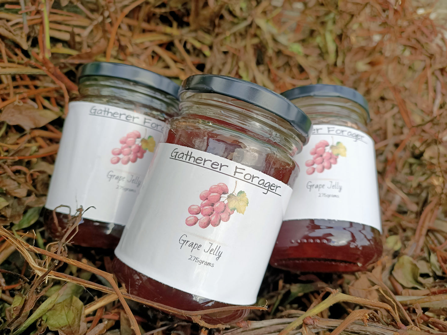Grape Jelly