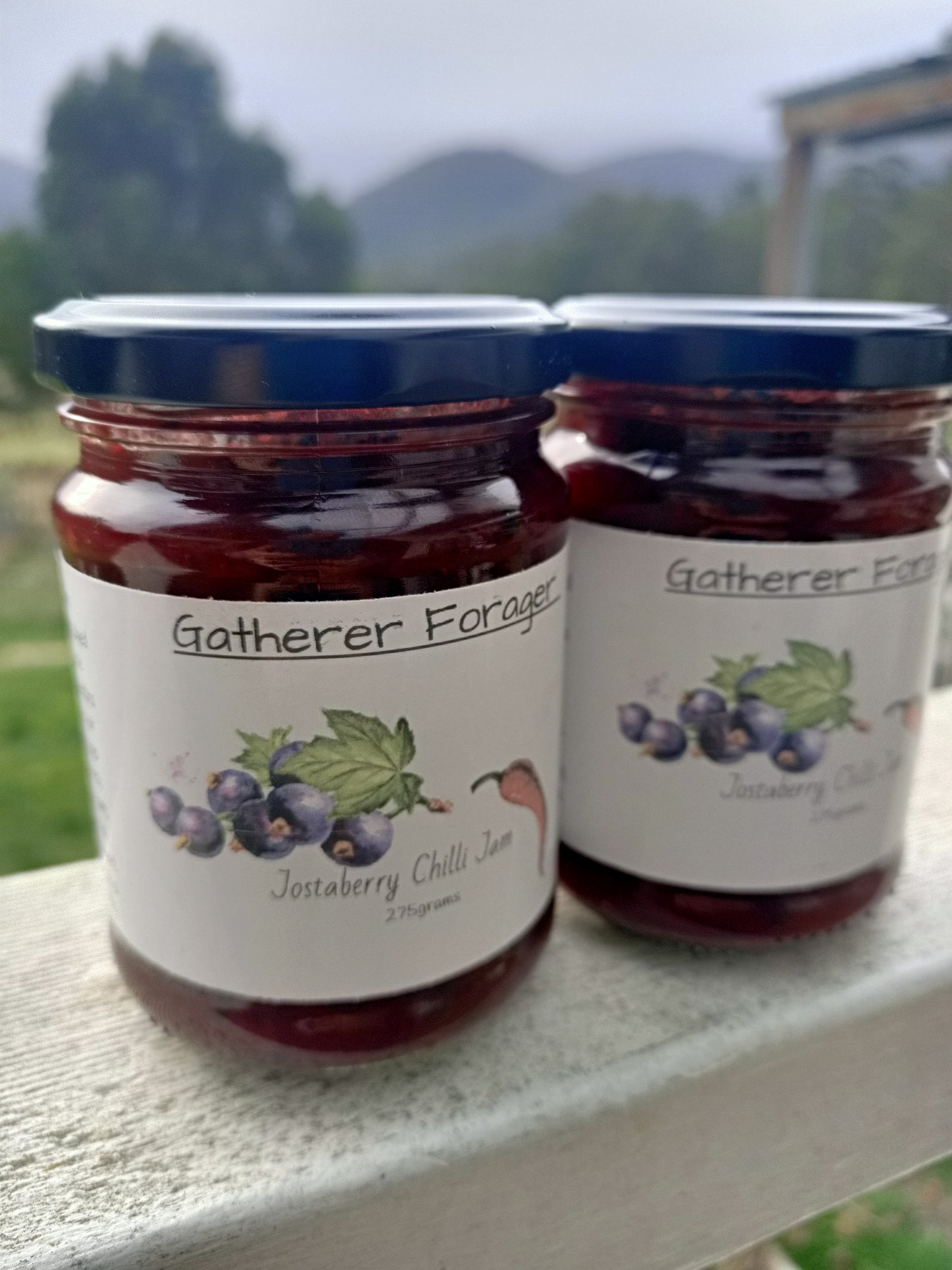 Jostaberry Chilli Jam