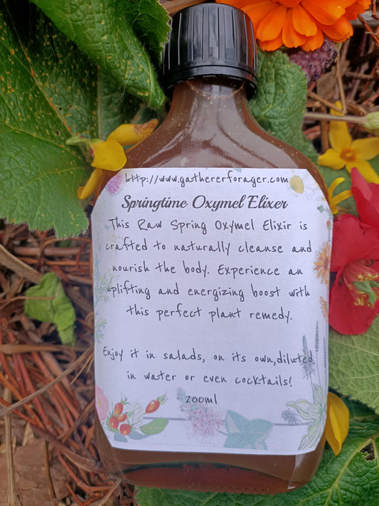 Spring Oxymel Elixer