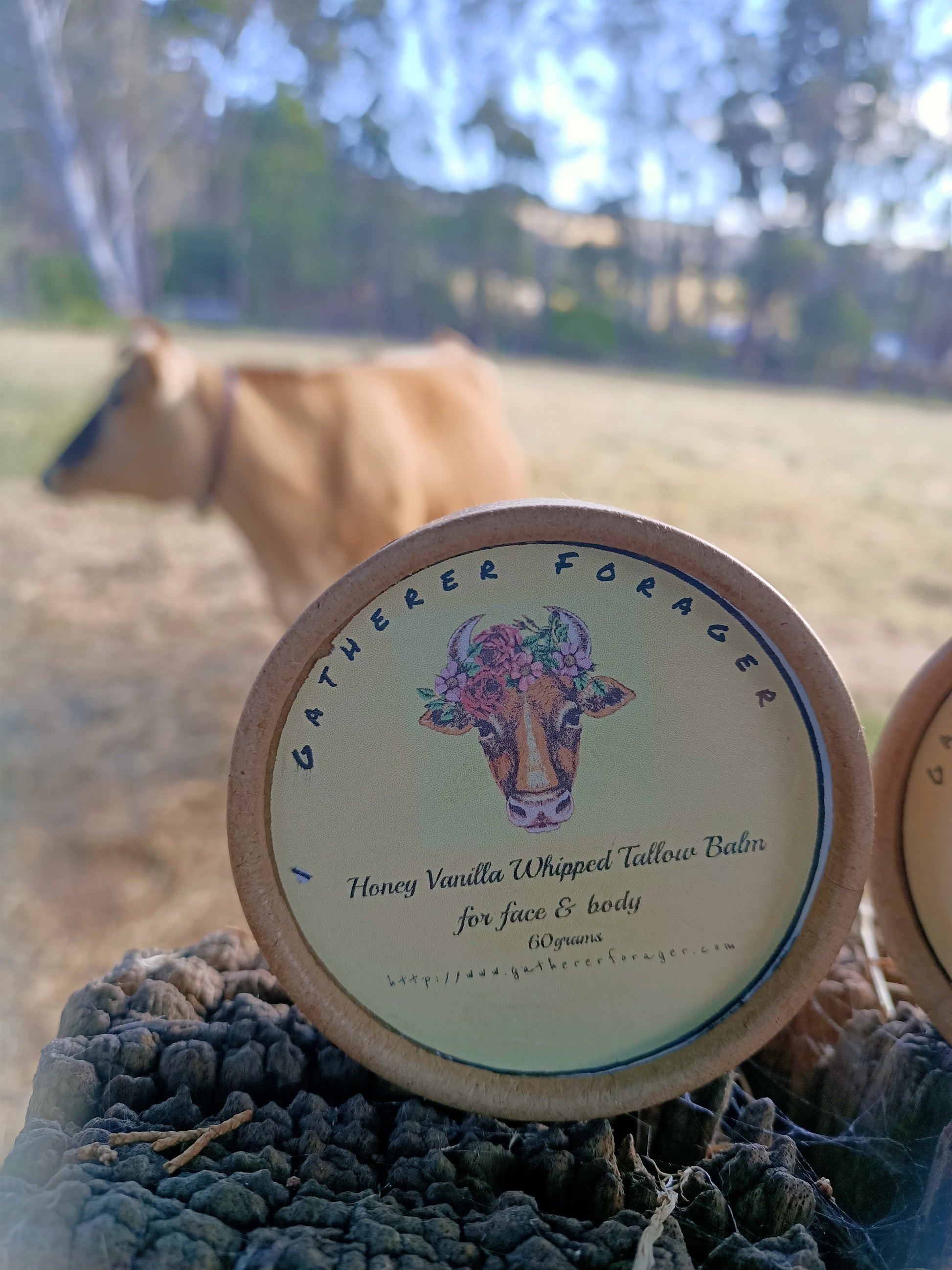 Honey and Vanilla Whipped Tallow Balm Australian Handmade Gatherer Forager