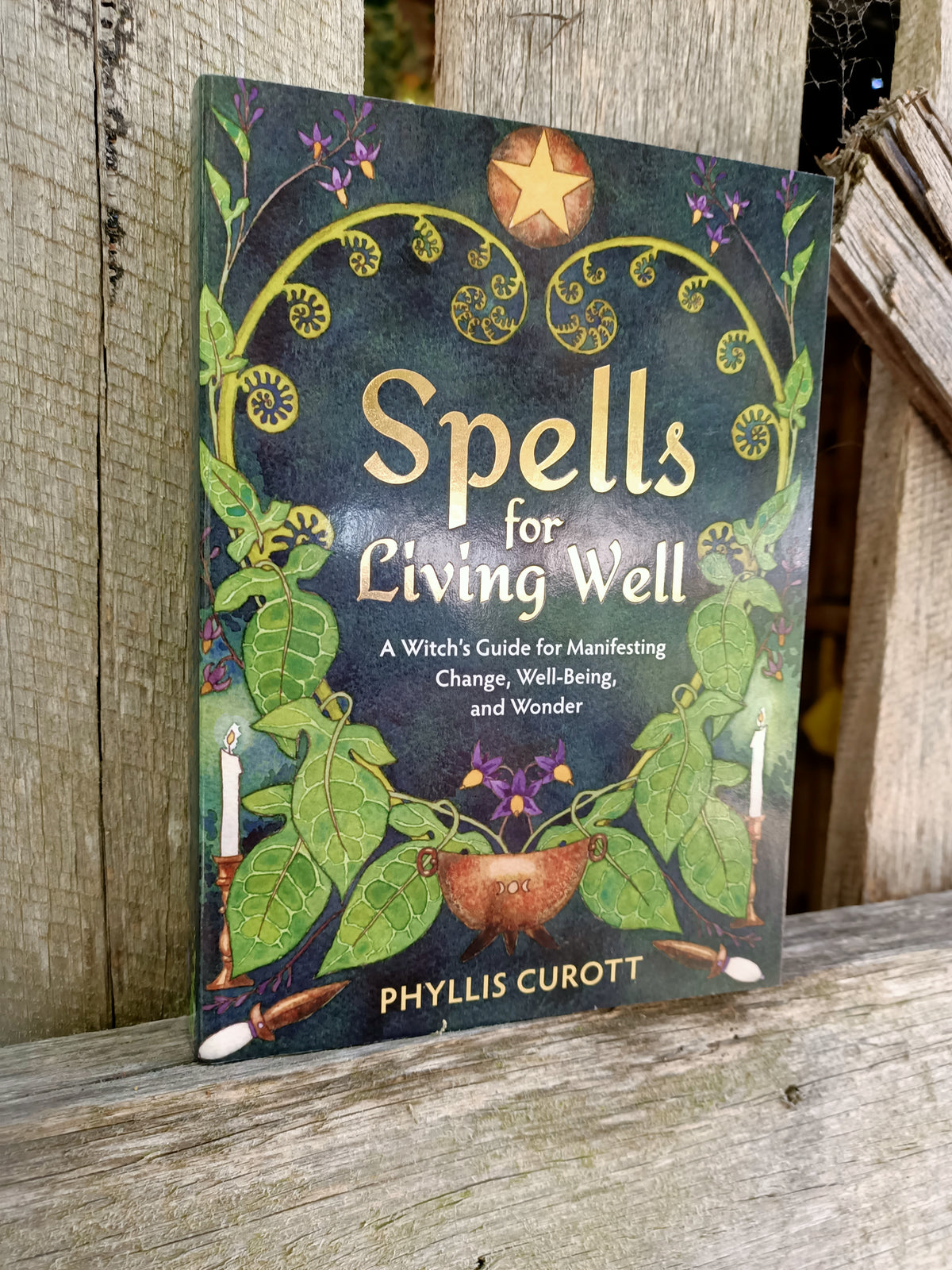 Spells for Living Well A Witch's Guide for Manifesting Change, Well-being, and Wonder By: Phyllis Curott Main image