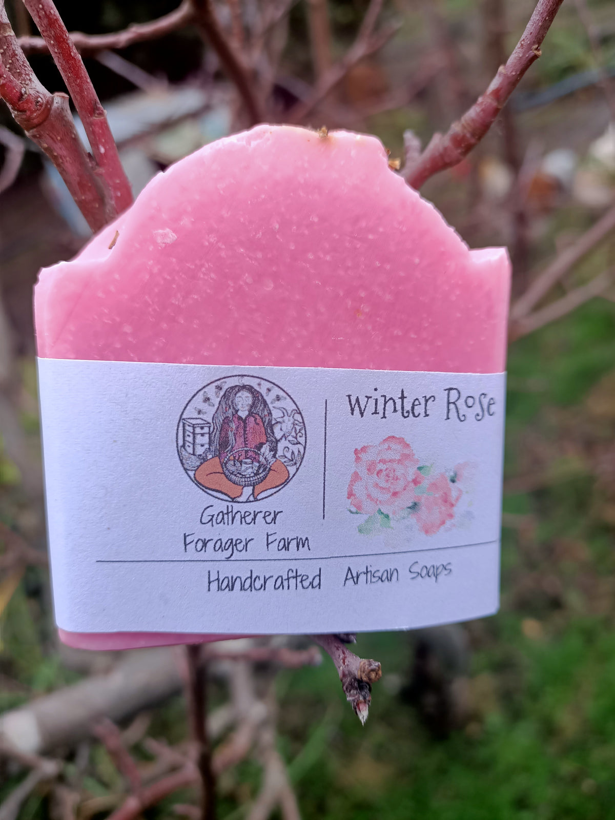 Rose soap Australia  Main image